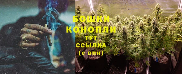 гидра Белоозёрский