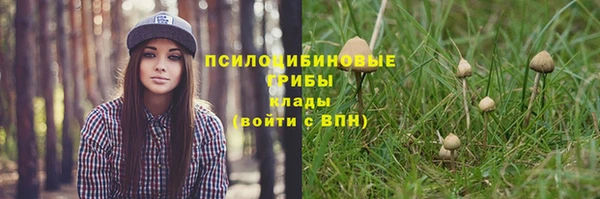 Альфа ПВП Волосово