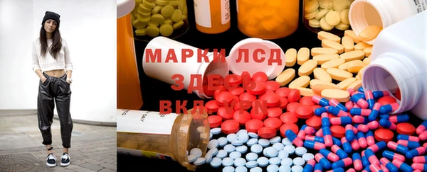 таблы Бородино