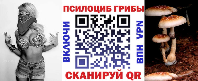 где купить наркотик  Михайлов  Псилоцибиновые грибы GOLDEN TEACHER 